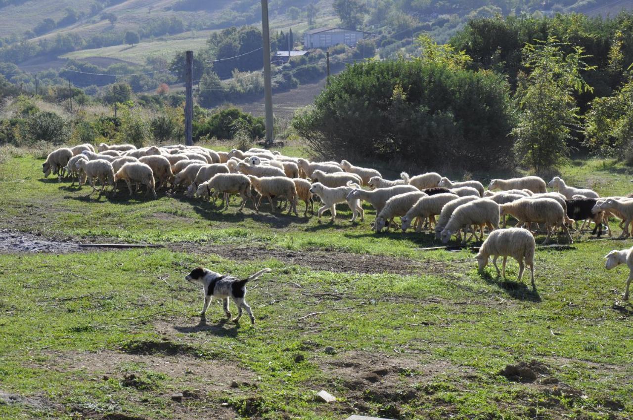 La Colombera In Toscana Roccalbegna Buitenkant foto